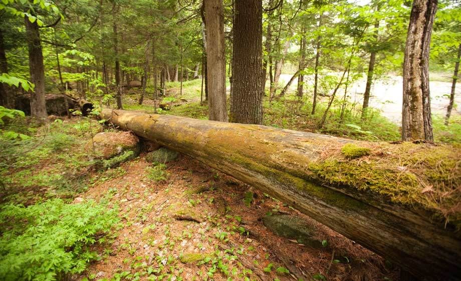 1adirondack_location_scout_2_016