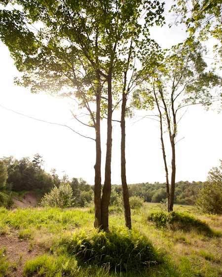 1adirondack_location_scout_73