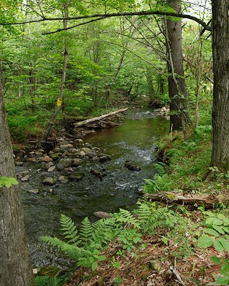 1film_in_the__adirondacks8