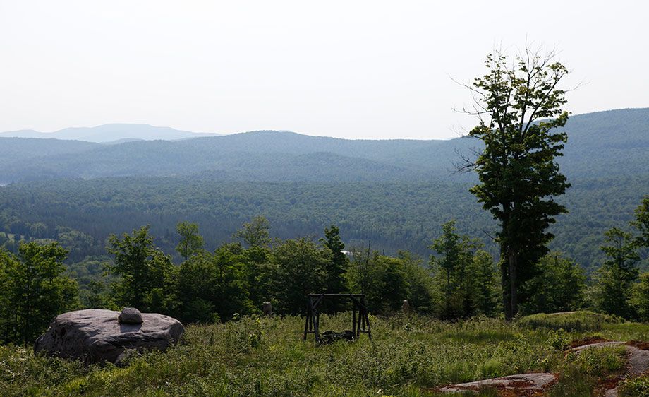 1upstate_ny_cabin_scout_03
