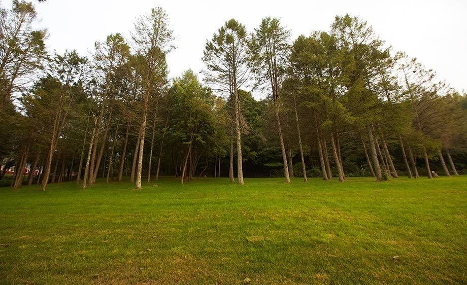 1upstate_ny_farm_house_scout_18