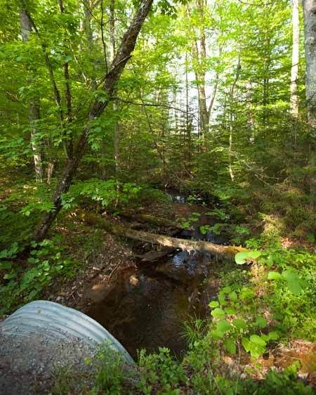 1Adirondack_location_scout_ML_15