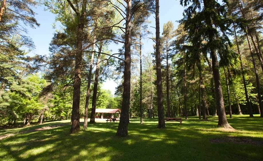 1adirondack_location_rentals_1_024