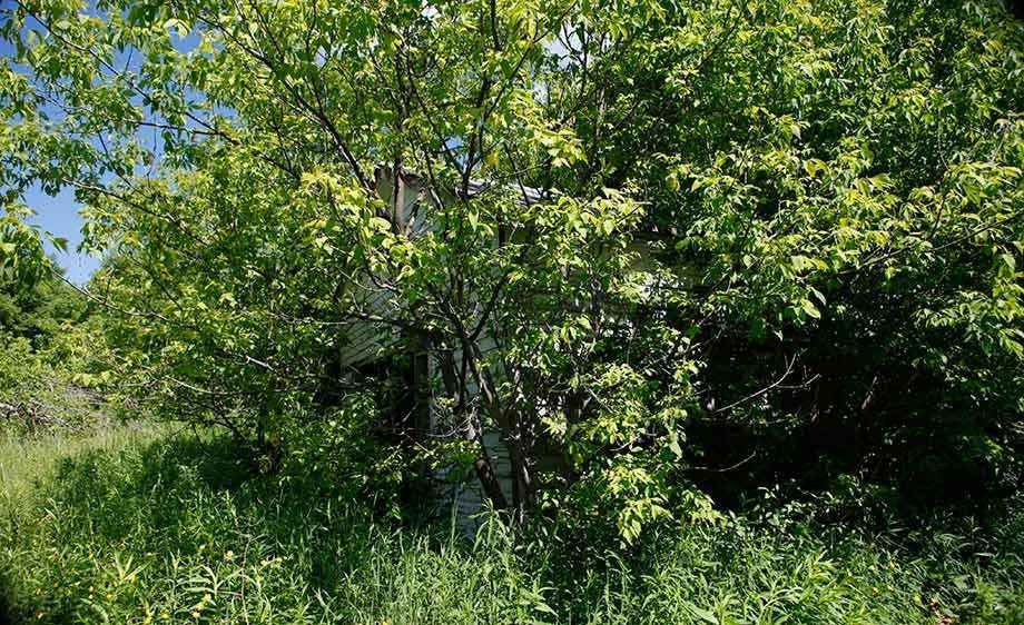 1ny_old_farm_house_19