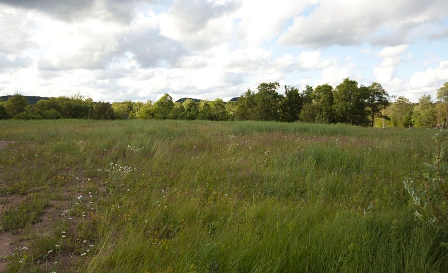 1adirondack_location_scout_1_011