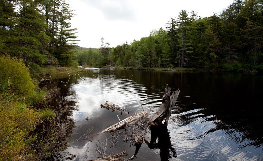 1Adirondack_lacation_scout_NL_15