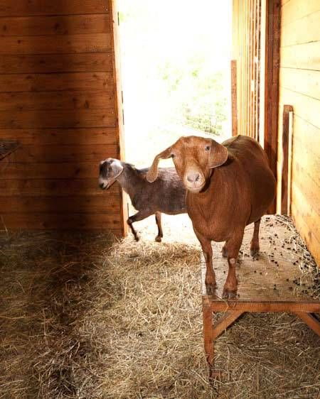 1adirondack_location_scout_15