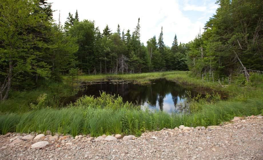 1mountain_loaction_scout_6_021