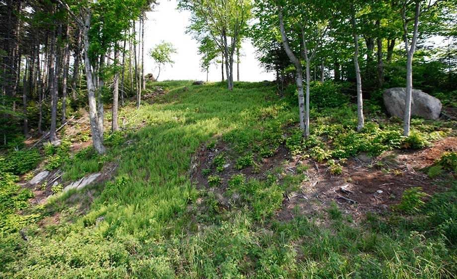 1upstate_ny_cabin_scout_14