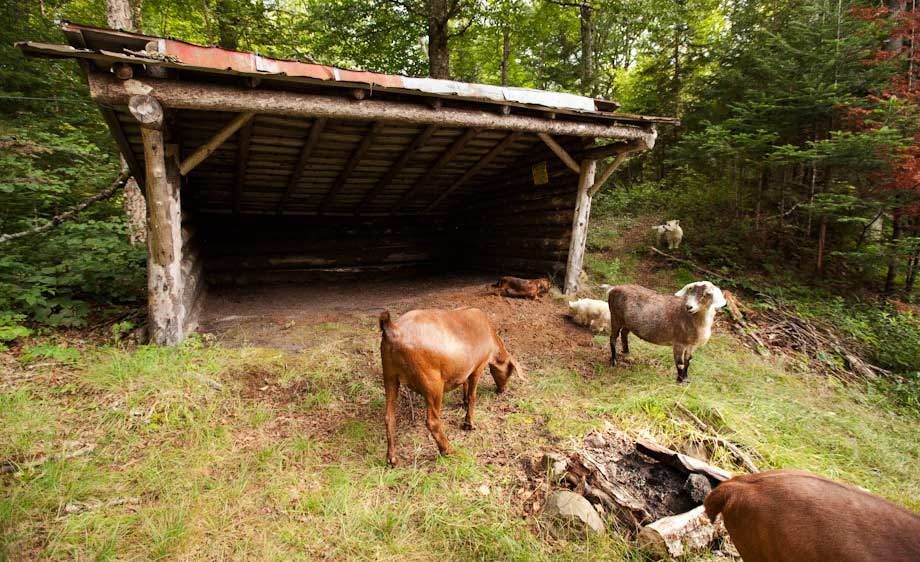 1adirondack_location_scout_52