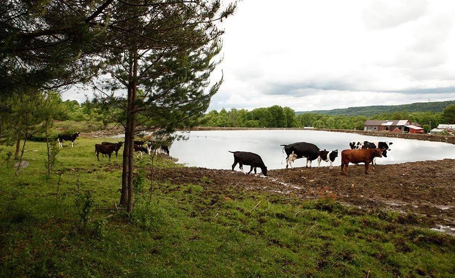 1upstate_ny_barn_farm_scout_10