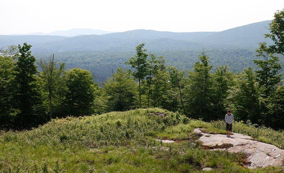 1upstate_ny_cabin_scout_05