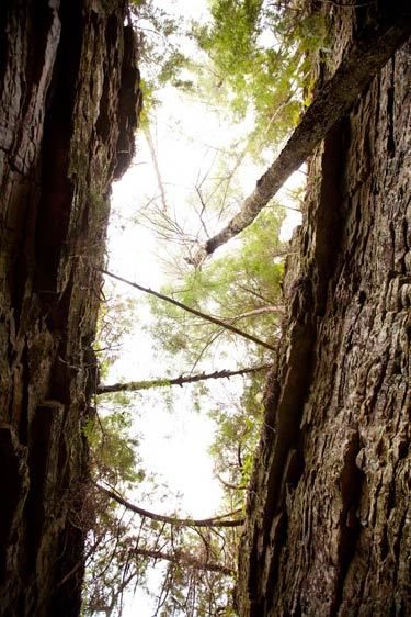 1adirondack_Dry_Canyon96