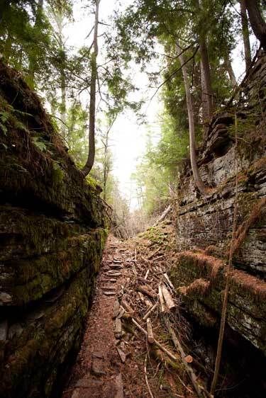 1adirondack_Dry_Canyon77