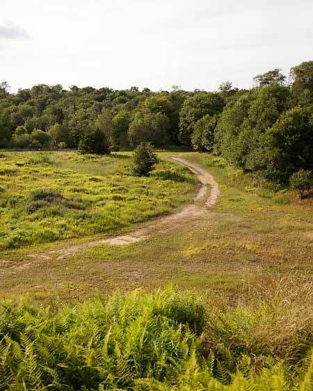 1adirondack_location_scout_74