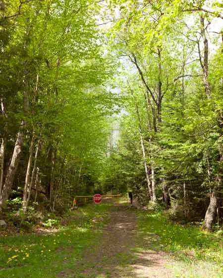 1adirondack_location_scout_GB