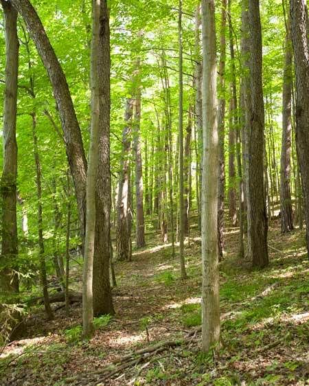 1adirondack_location_rentals_1_031