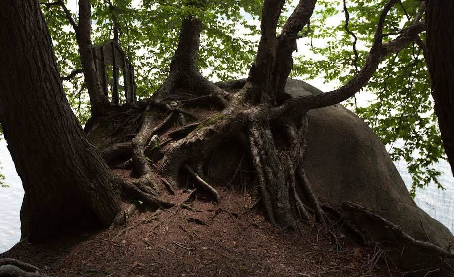 1r388adirondack_location_scout_g1