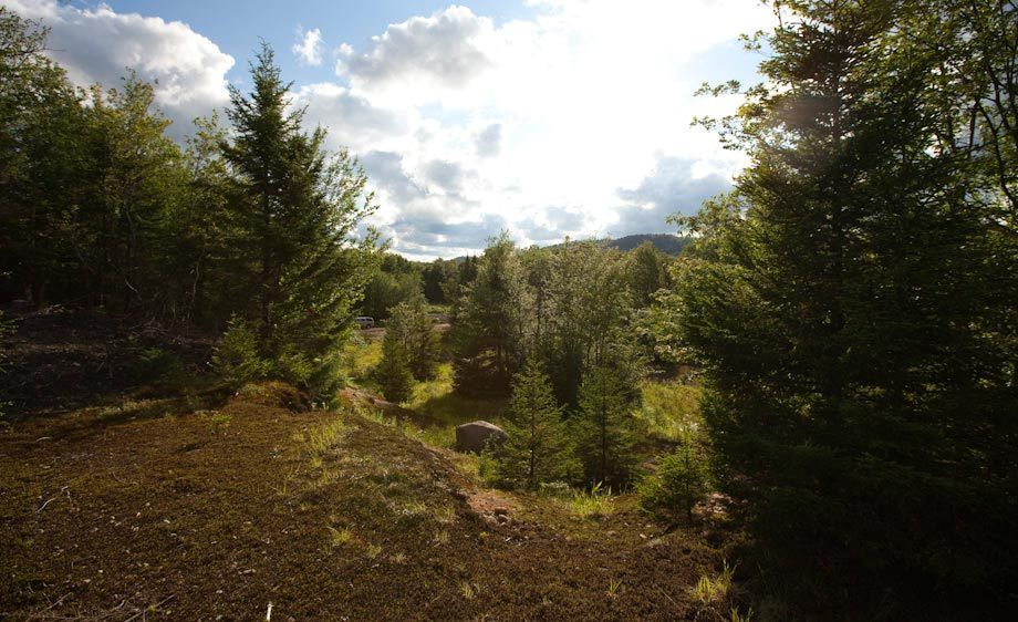 1mountain_loaction_scout_6_086