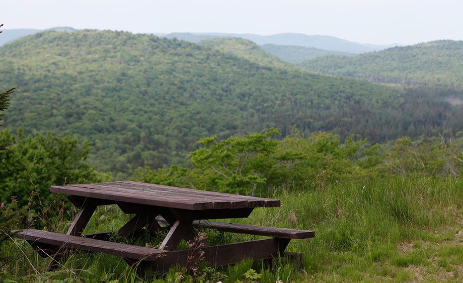 1upstate_ny_cabin_scout_20