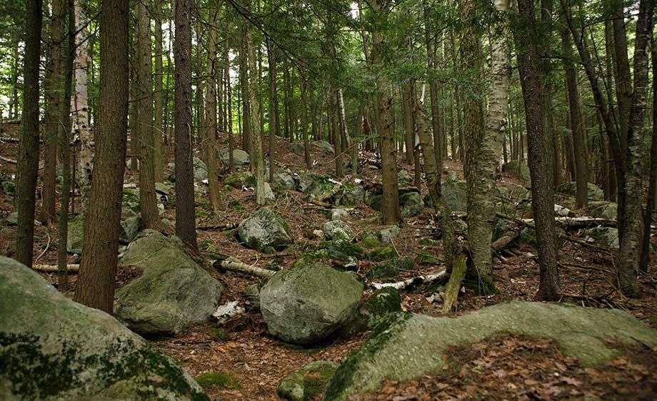 1adirondack_river_ny_filming_9