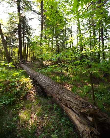 1Adirondack_location_scout_ML_31