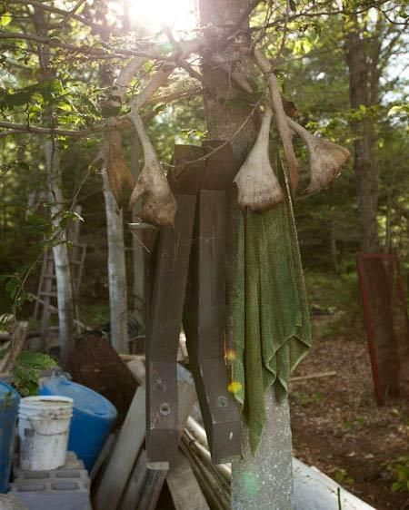 1adirondack_loaction_scout_8_030