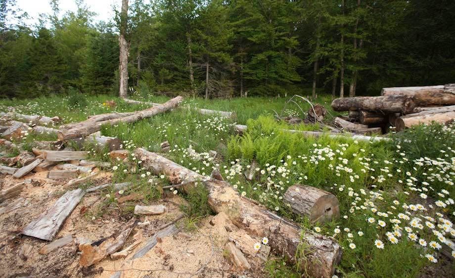 1adirondack_loaction_scout_8_055