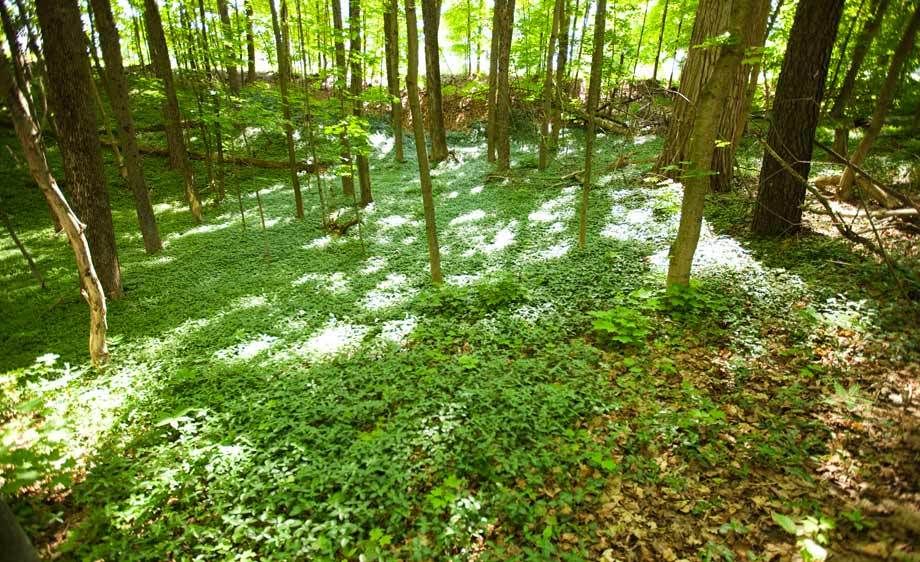 1adirondack_location_rentals_1_027