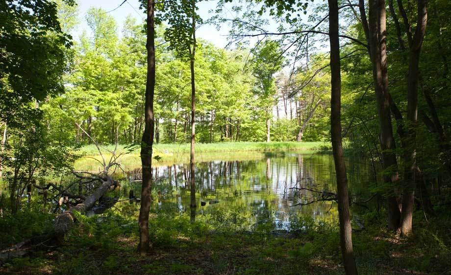 1adirondack_location_rentals_1_029