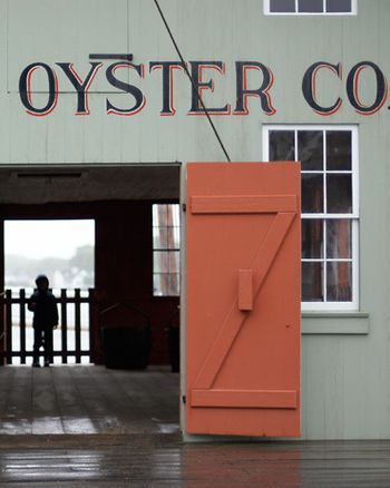 1oyster_co