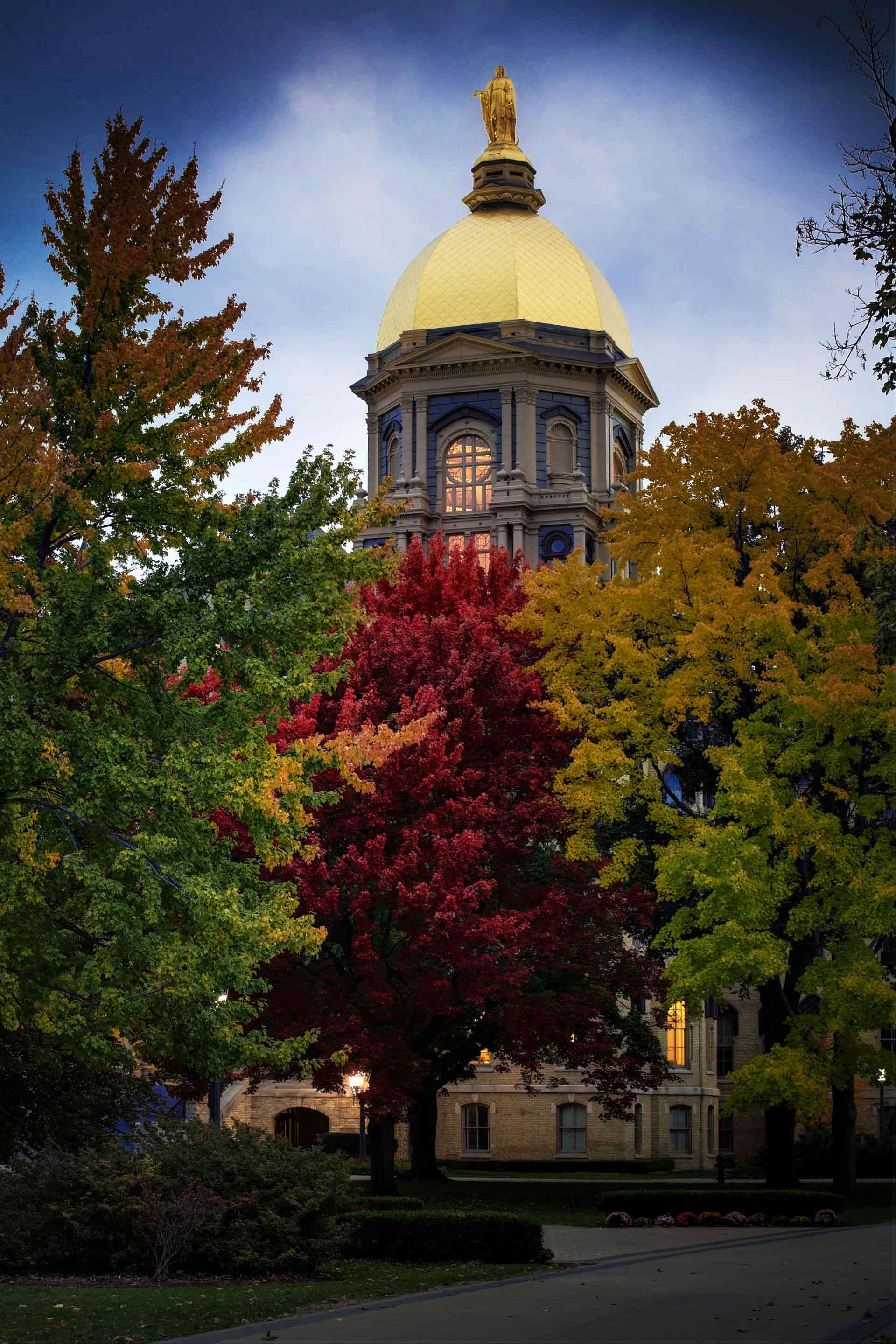 1nd_domess_2_5_2_copy