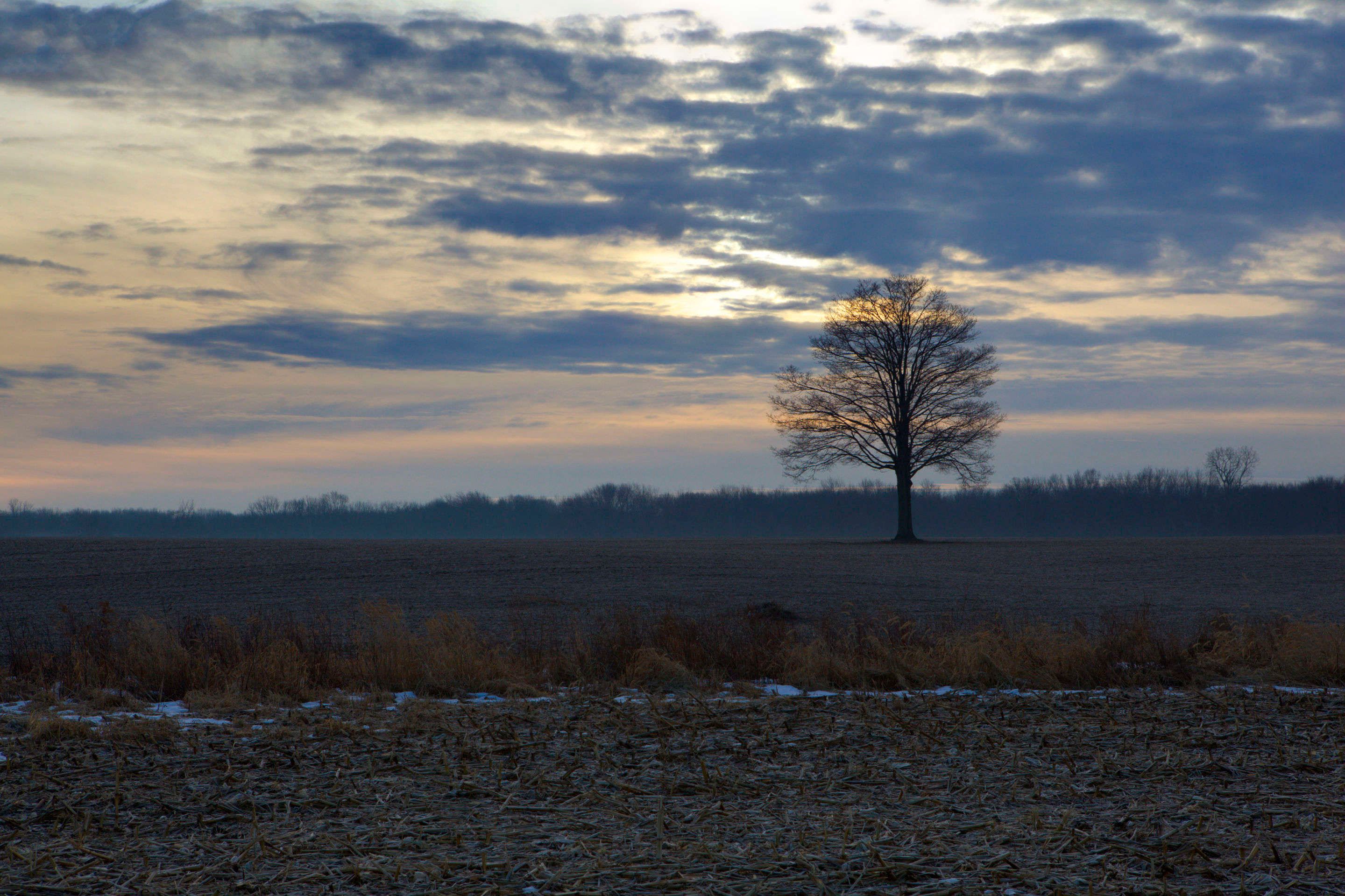 1cc20120111_3696_7_8_fused_copy