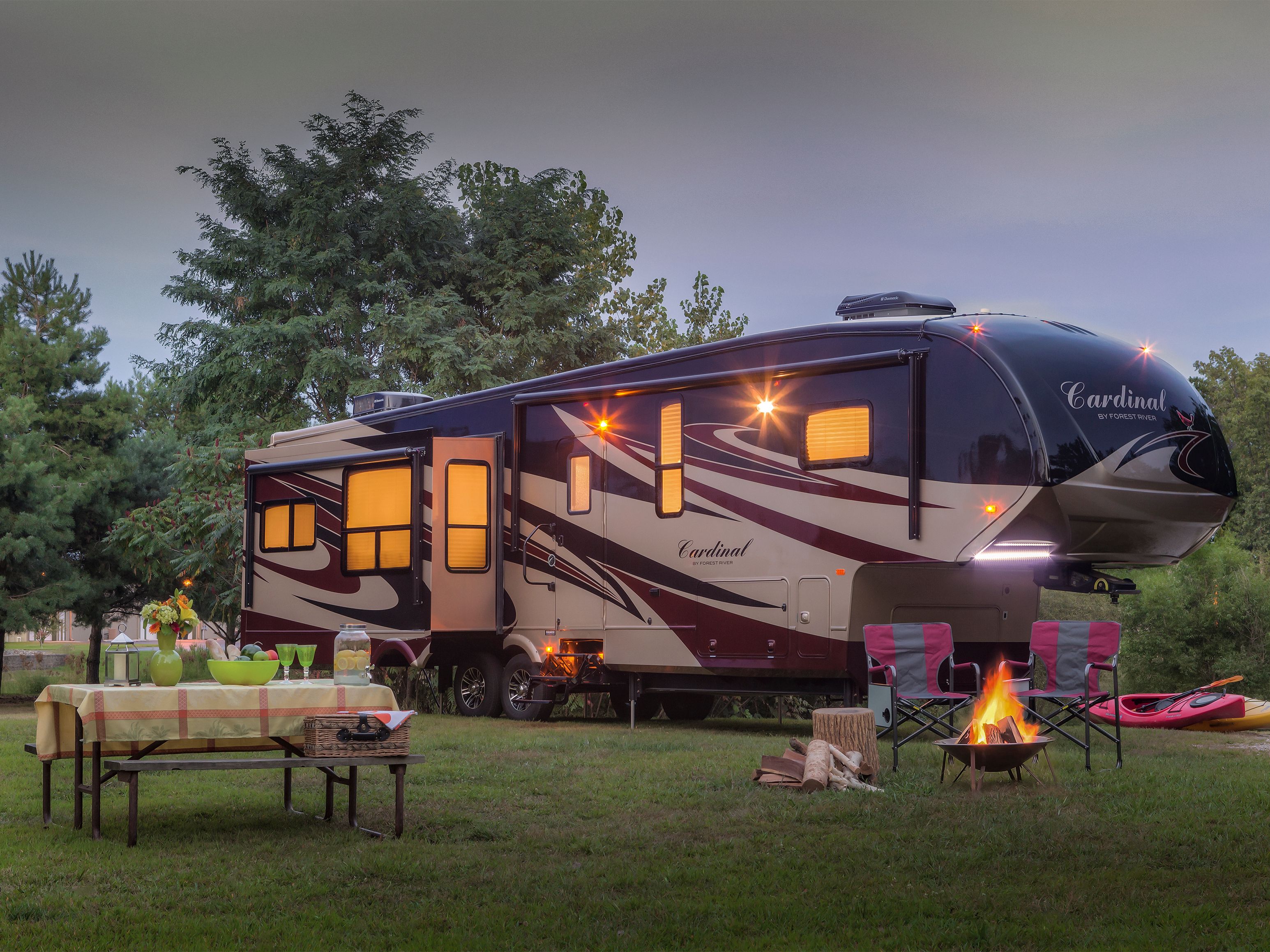 Cardinal Back Cover_Redux.jpg