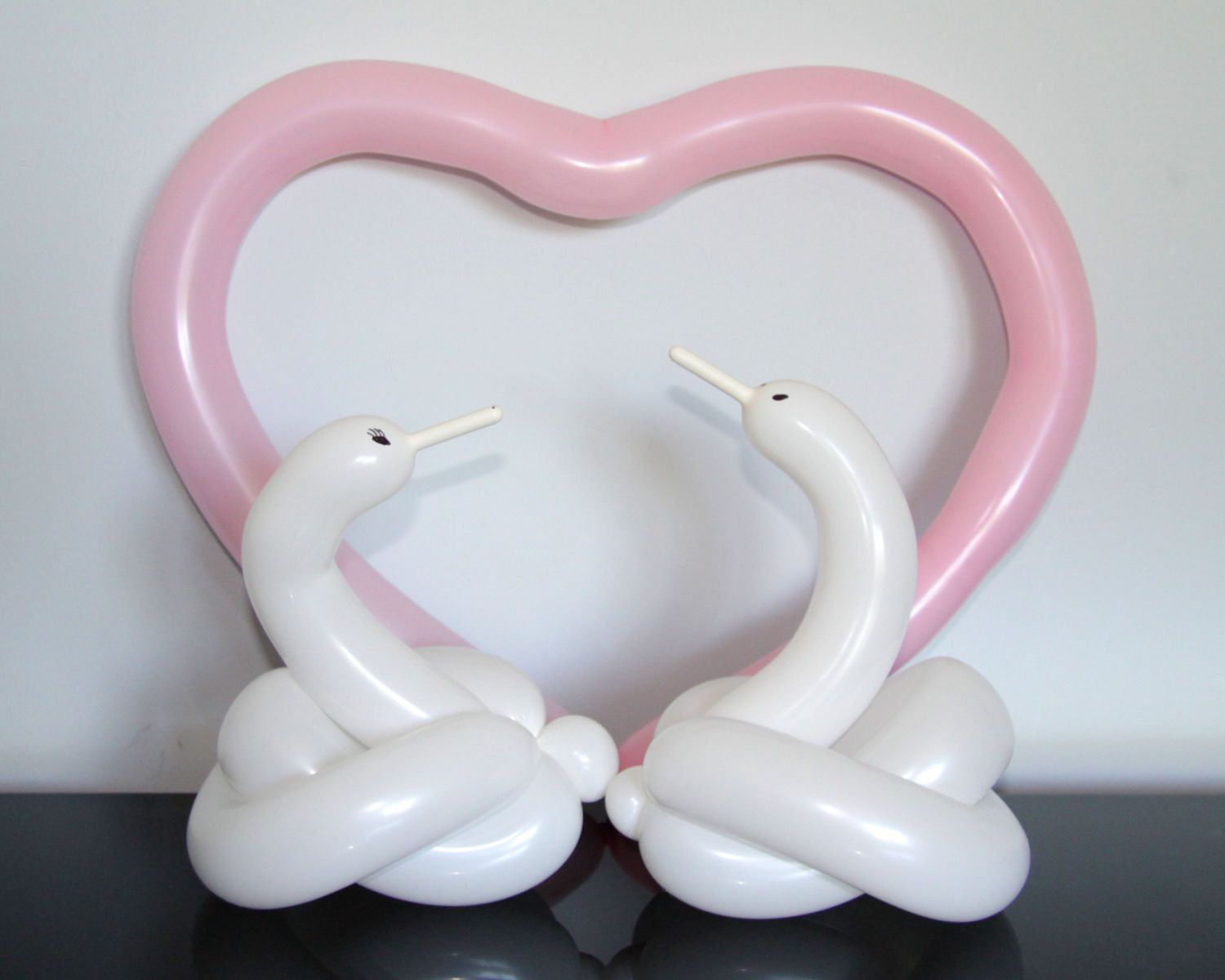 Chicago Balloon Twisting Valery Lanotte - Swans