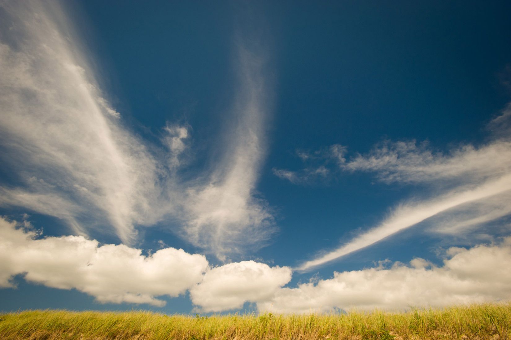 Chilmark Pond Preserve