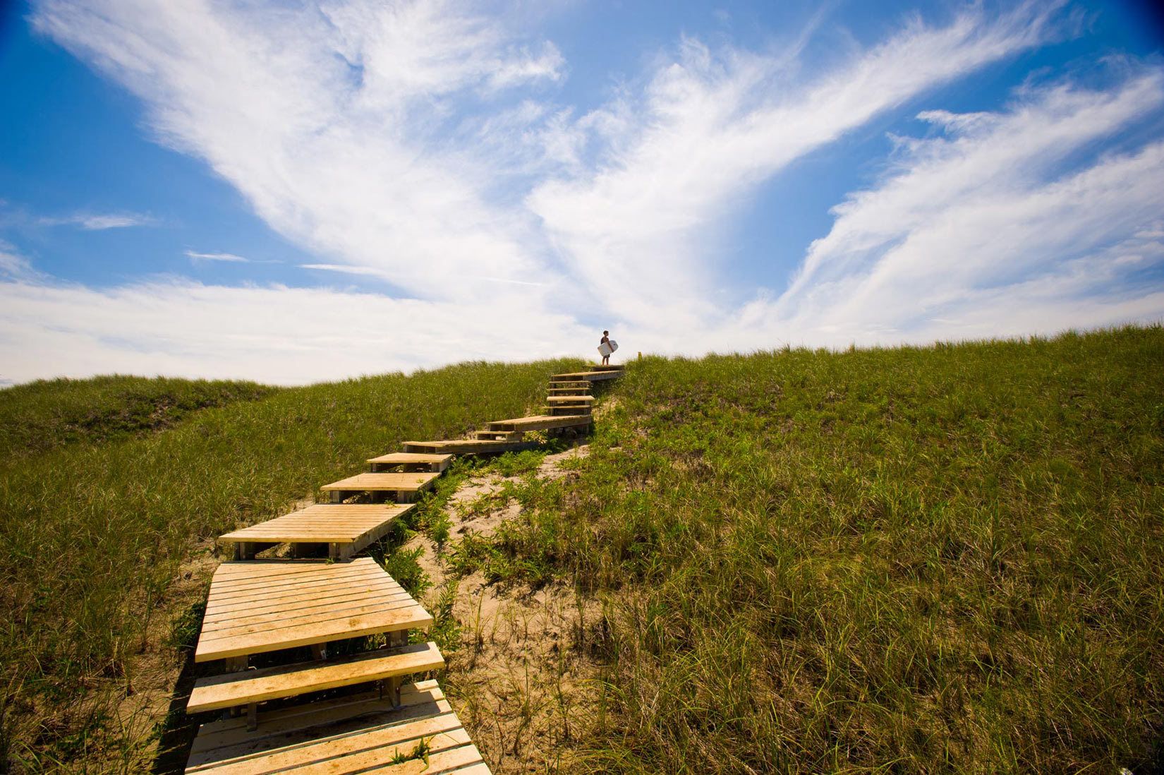 Chilmark Pond Preserve