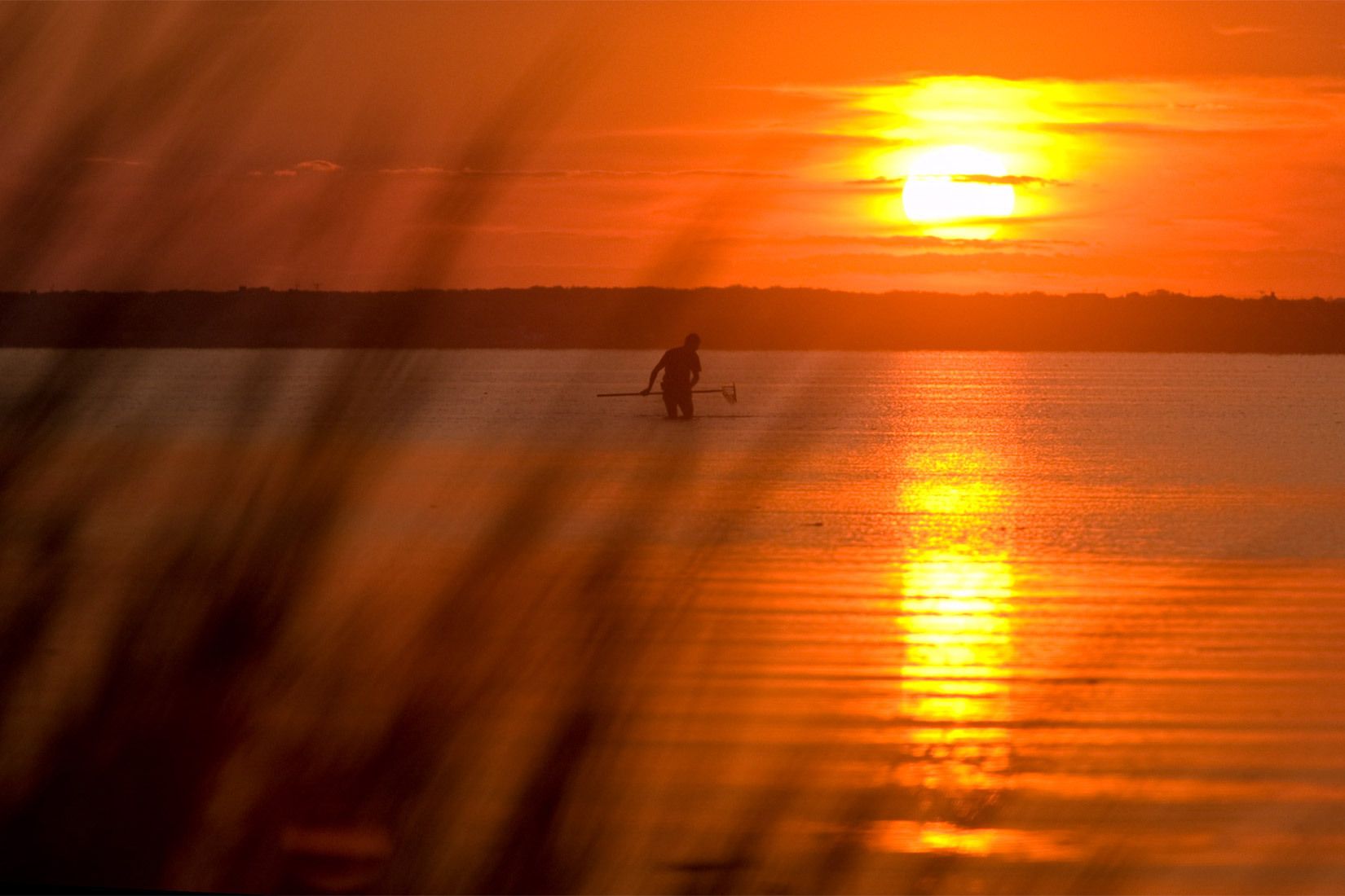 Clammer, Edgartown Harbor