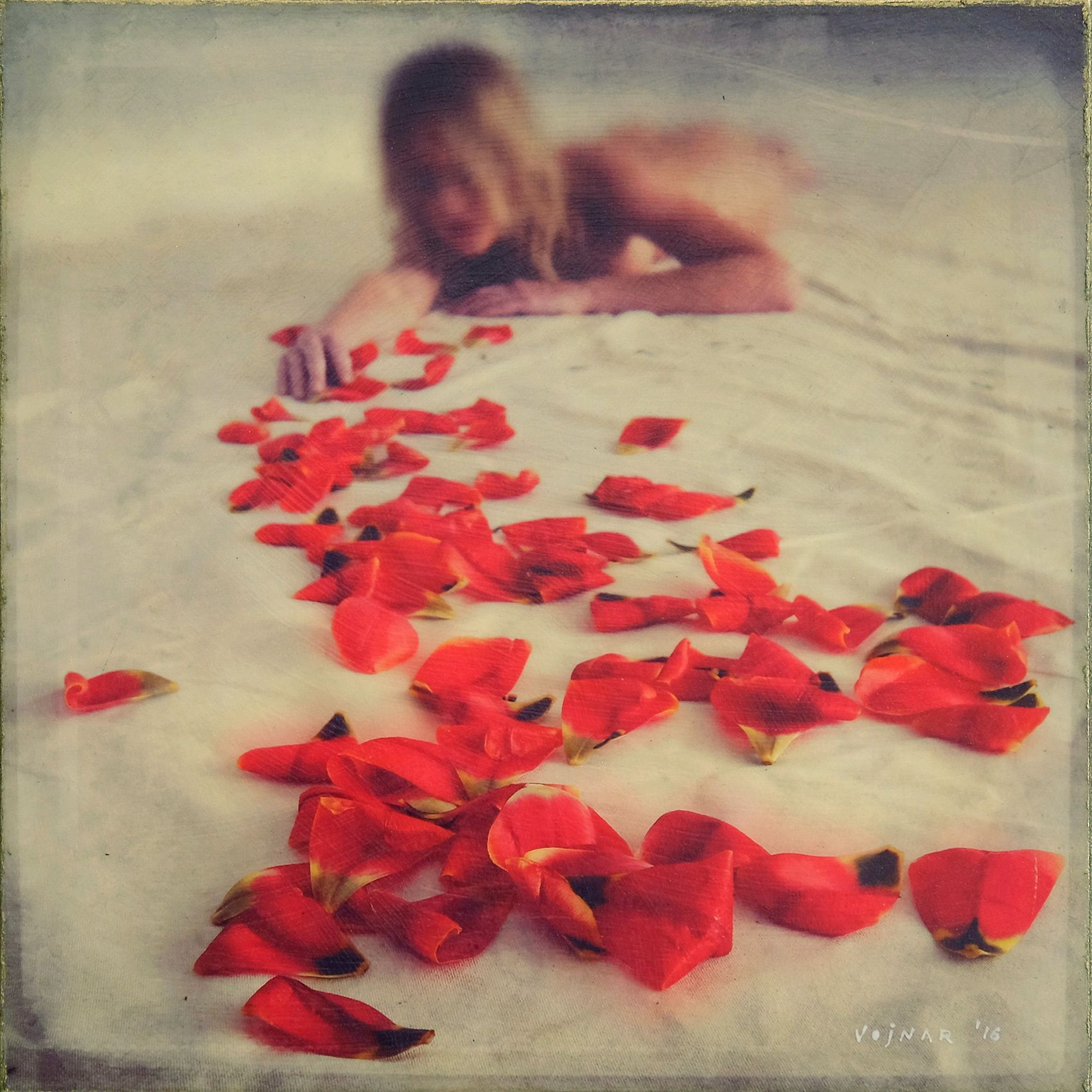 red petals #1