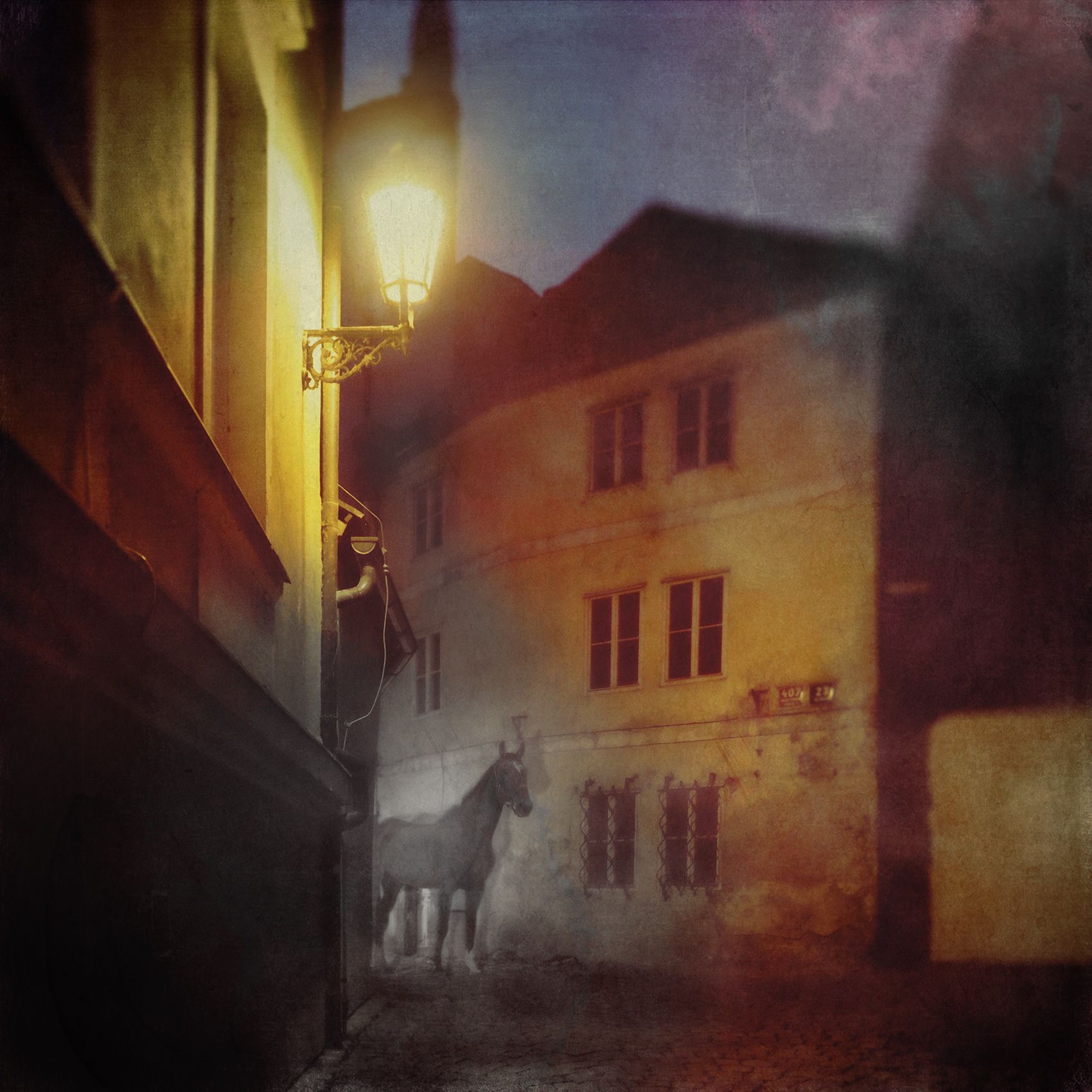 black horse (prague)