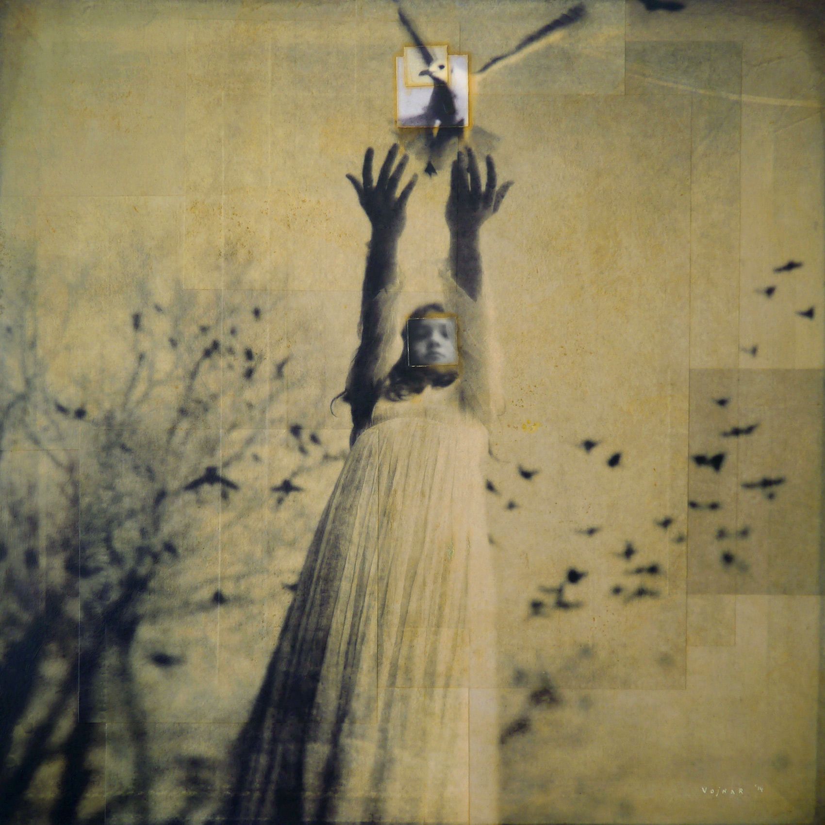 if you love me, set me free