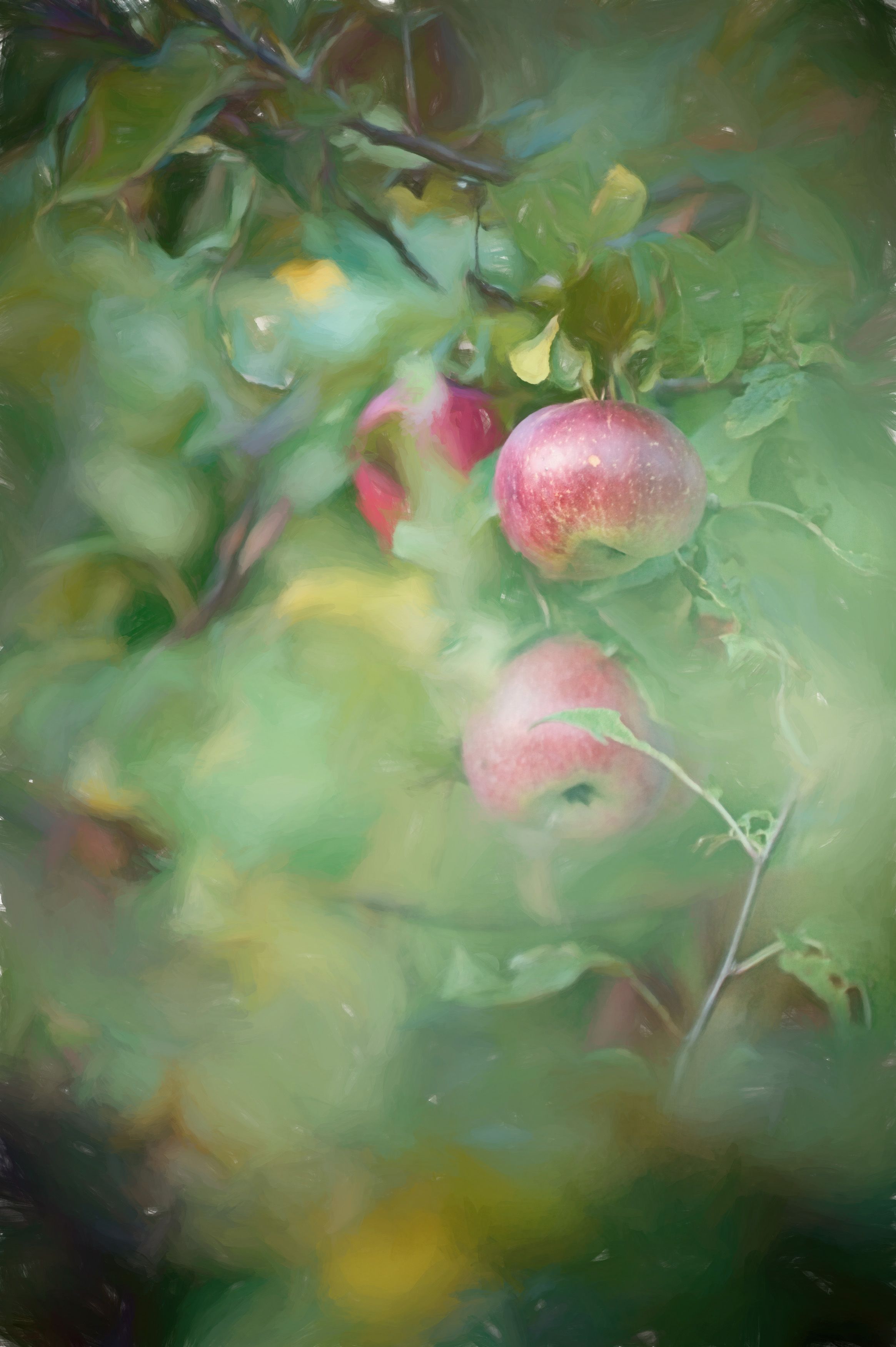 Barrie Fisher - Fisher Photography 0256e copy.jpg