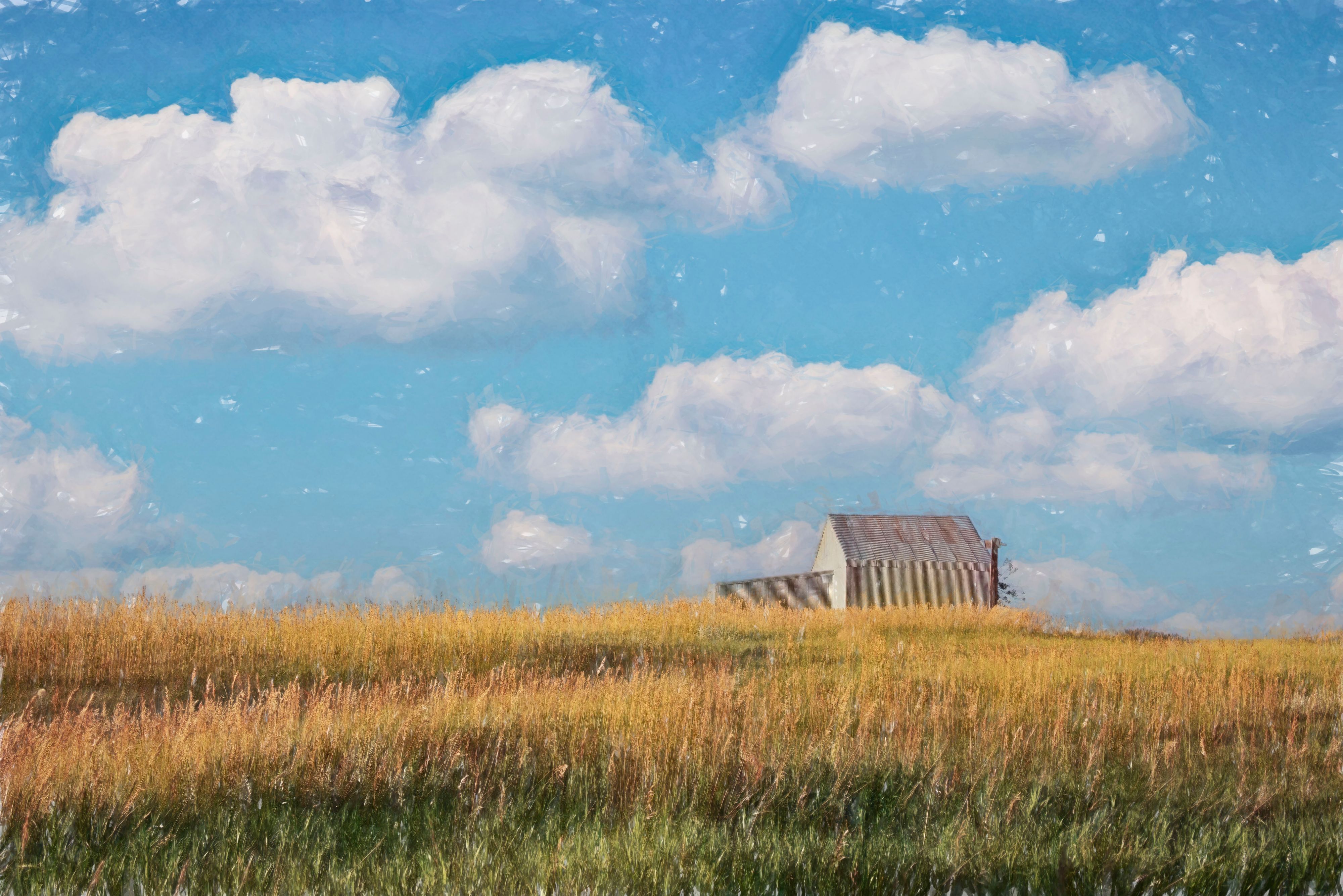 Barn in field wyoming original copy.jpg