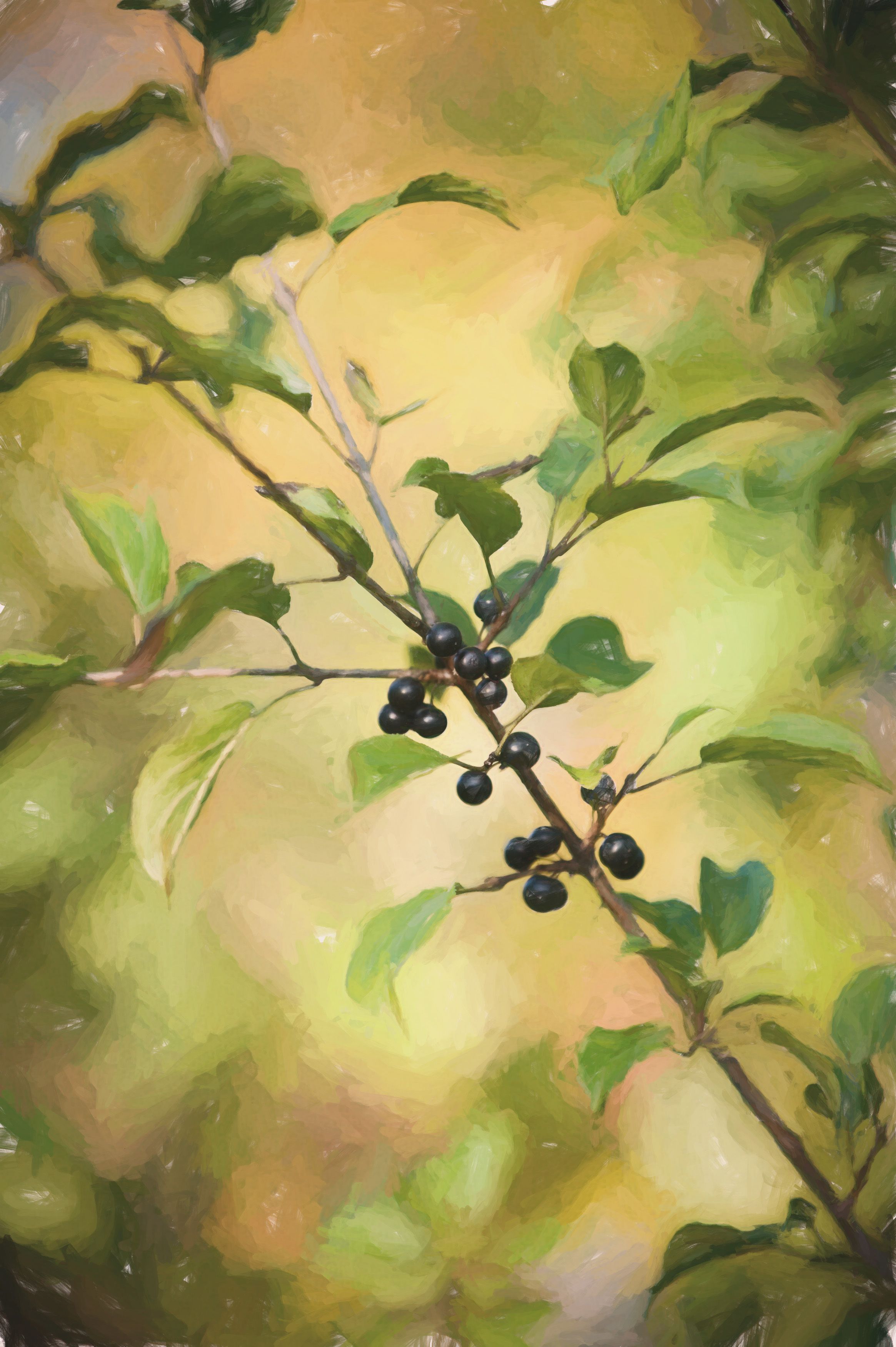 Barrie Fisher - Fisher Photography 0154b copy.jpg