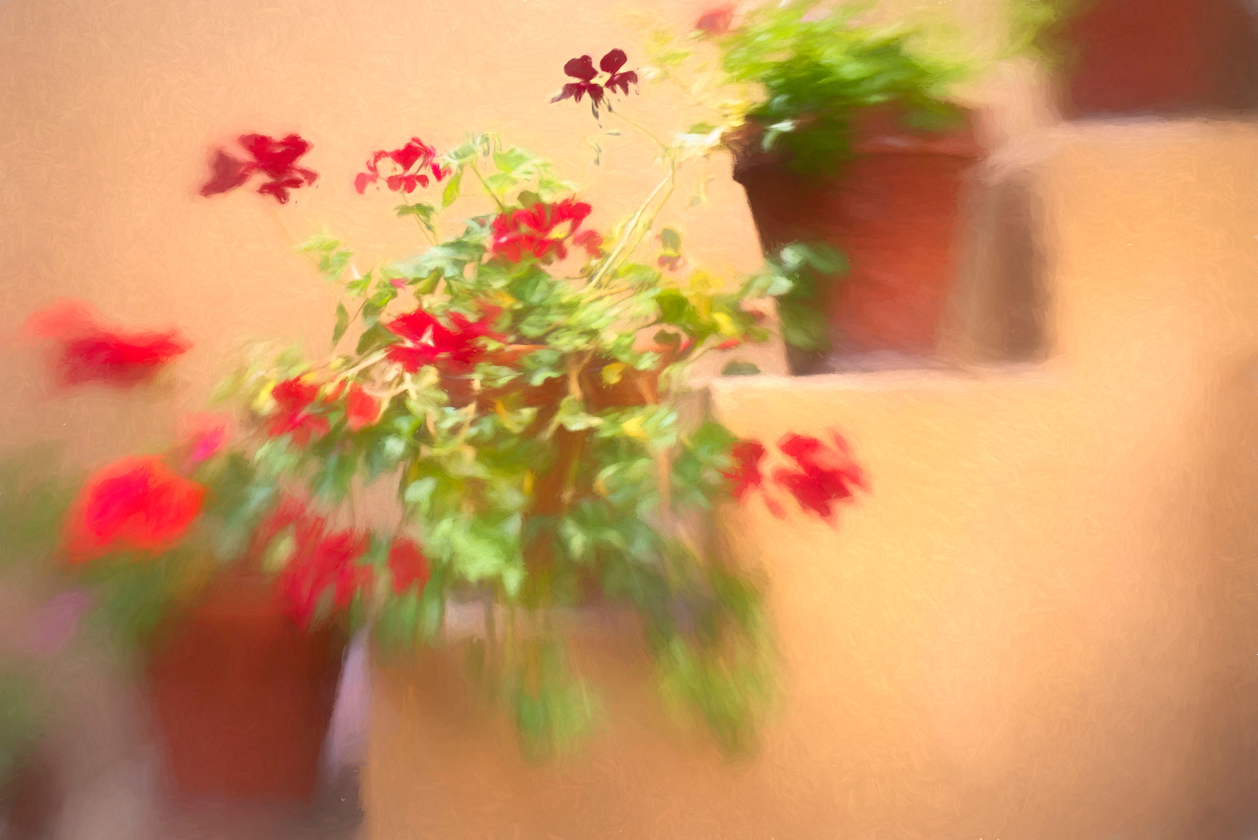 Plant on steps blurry5.jpg