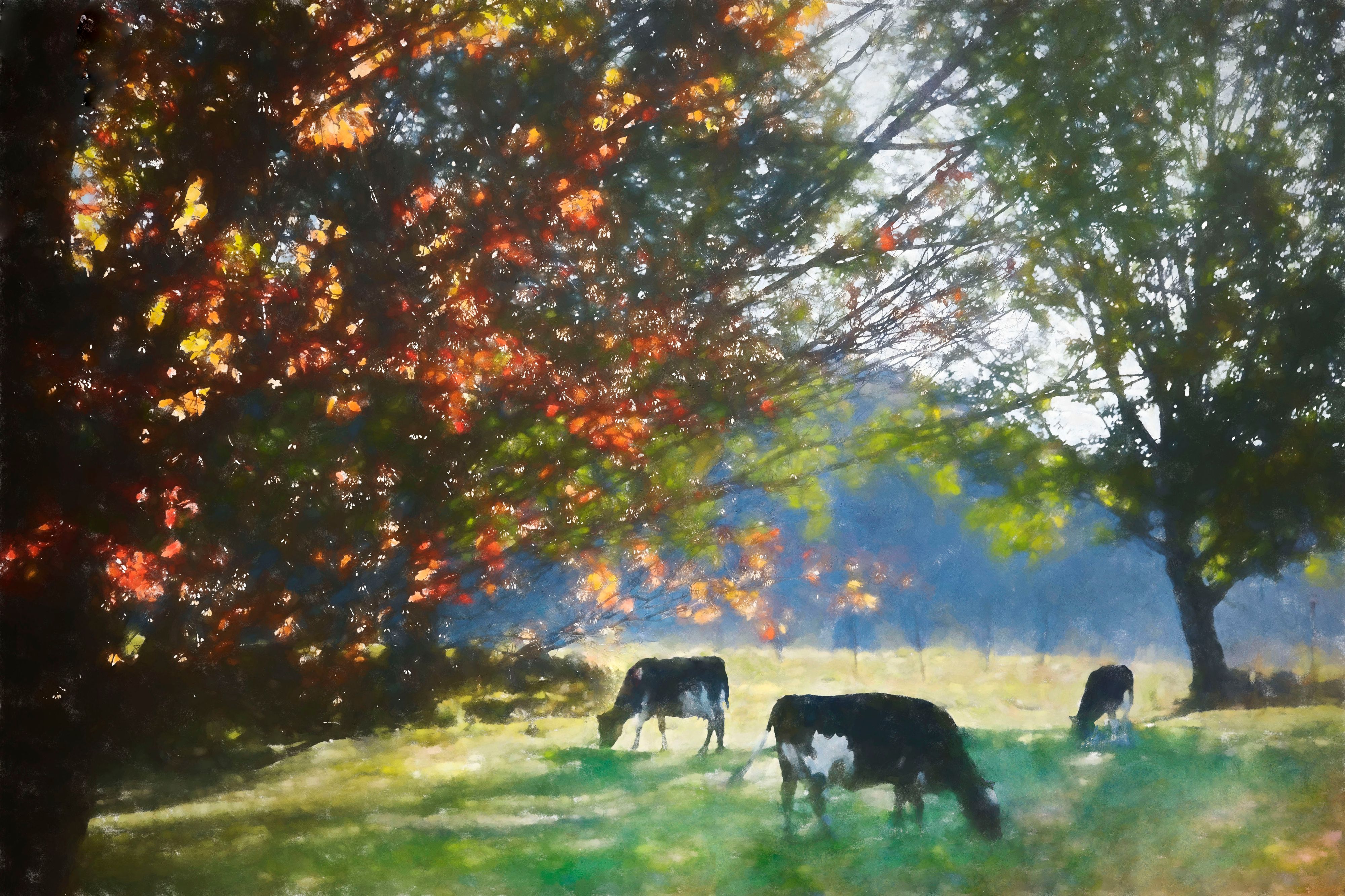 3 cows with red tree FINAL 5b copy 4.jpg