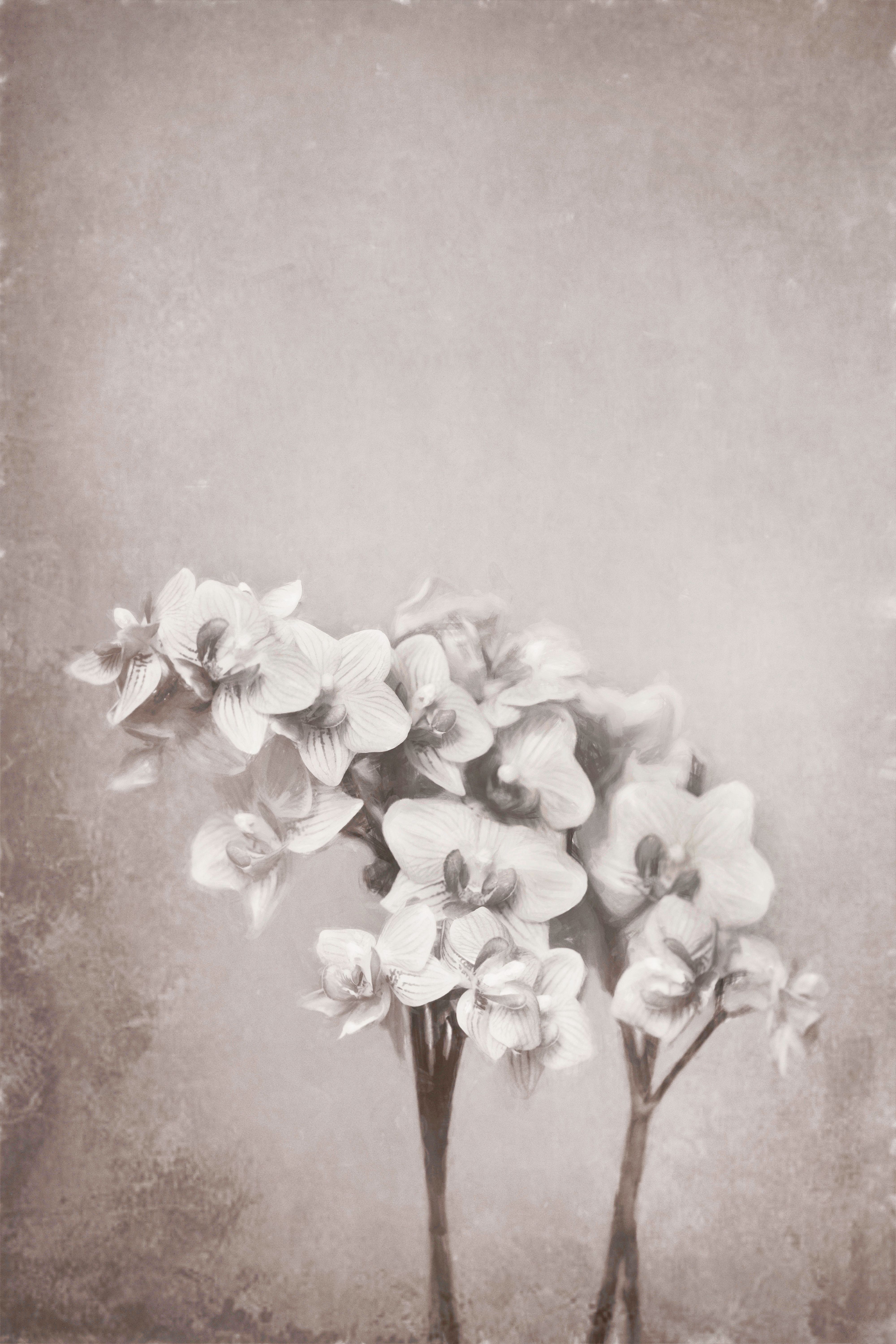 Orcid verticle FINAL2.jpg