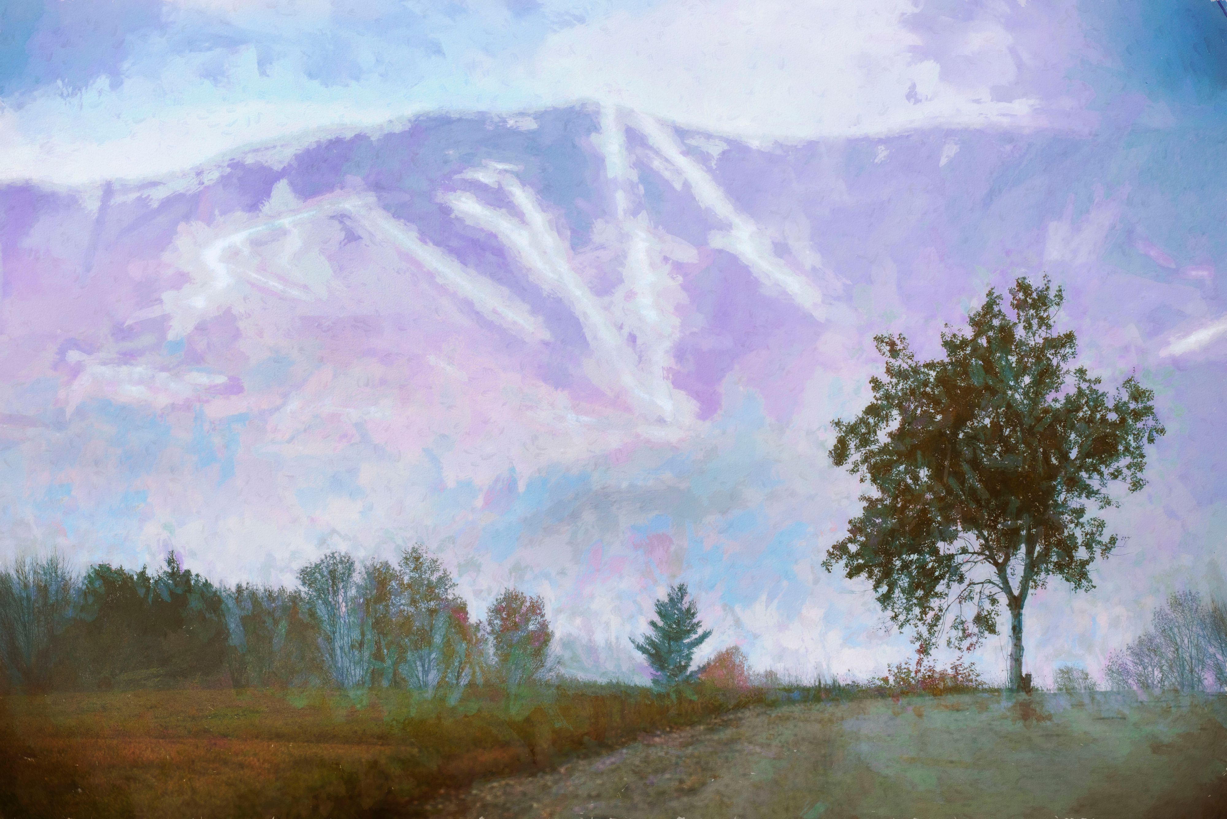 Sugarbush from rolston road 1.jpg