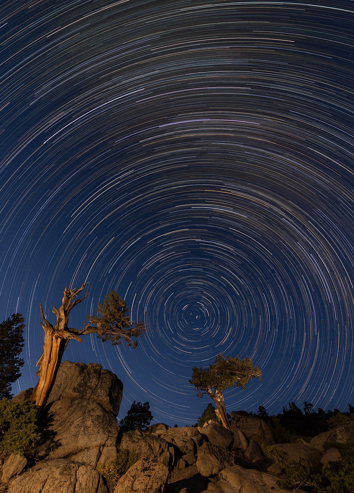 Star Trails, Sonora Pass 13 Star Trails D-13-09-08-3496.jpg
