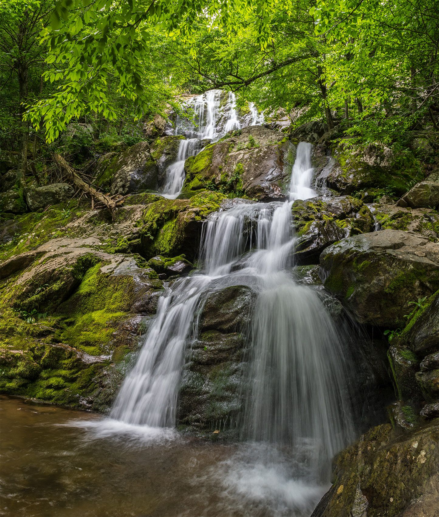 Dark Hollow Falls (Page County, VA).jpg